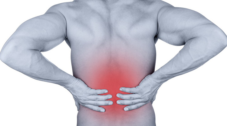 What spine problems do to your internal organs