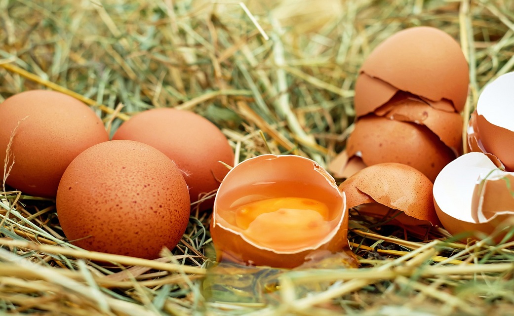 the eggs controversy - eggs