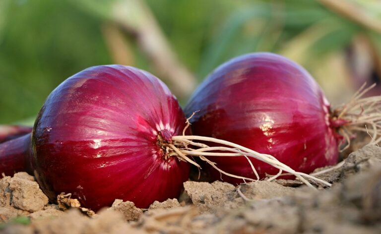 use ONION juice for faster hair growth