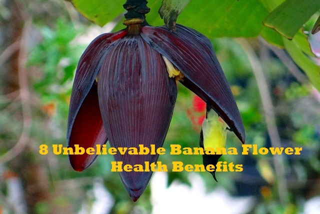 8 Unbelievable Banana Flower Health Benefits
