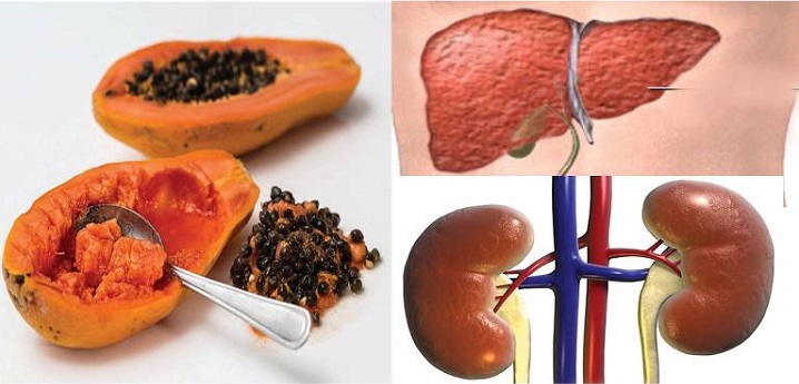 How To Improve Liver Health Naturally? Start Eating Papaya Regularly!