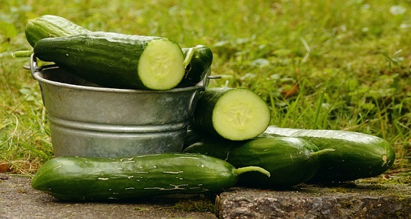 What health benefits do cucumbers have
