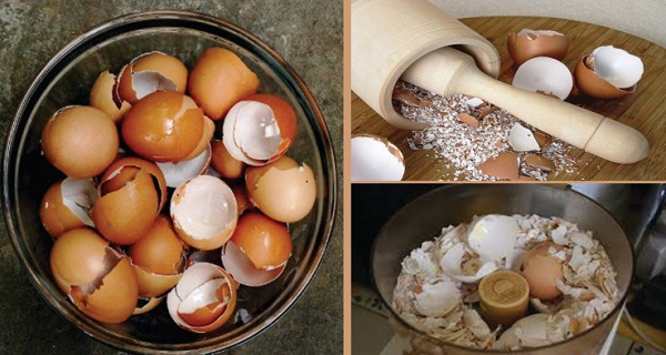 benefits of eating egg shells