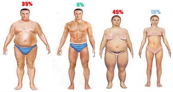 Body fat loss