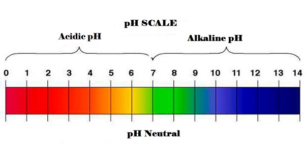 Too acidic body pH