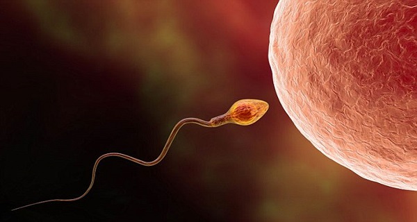 new male contraceptive