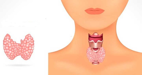ways to help your thyroid