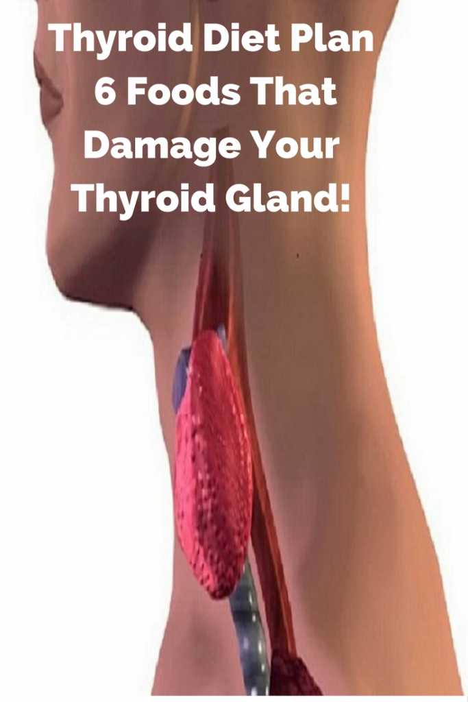 Thyroid Diet Plan – 6 Foods That Damage Your Thyroid Gland!