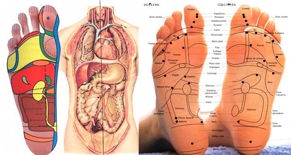 The benefits of reflexology