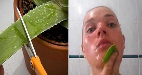 applying aloe Vera gel on face