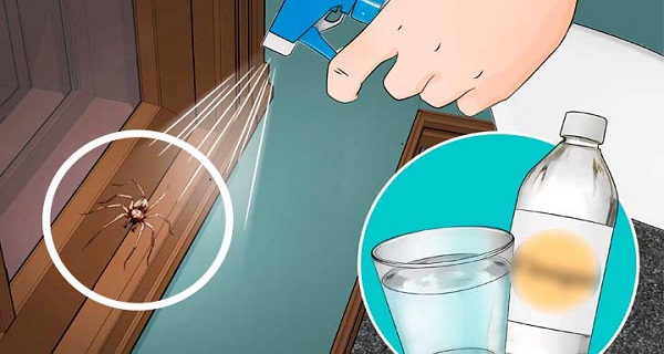 how to get rid of spider infestation