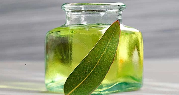 How to use eucalyptus oil for asthma