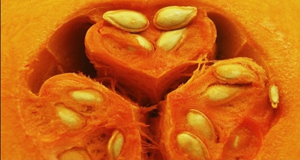 Pumpkin Seeds Or Pepitas Health Benefits – Reasons Why To Consume Them!