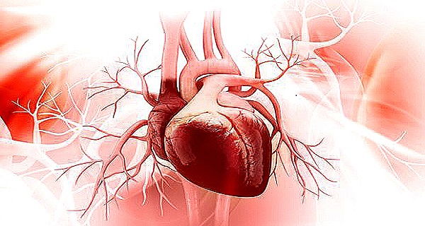 preventative measures for heart disease