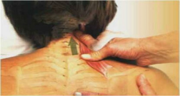 back pain and neck pain