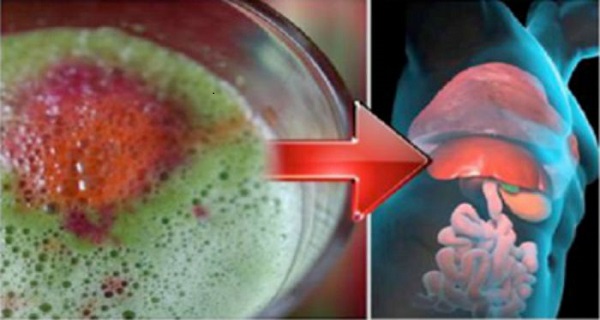 how to regenerate liver cells naturally