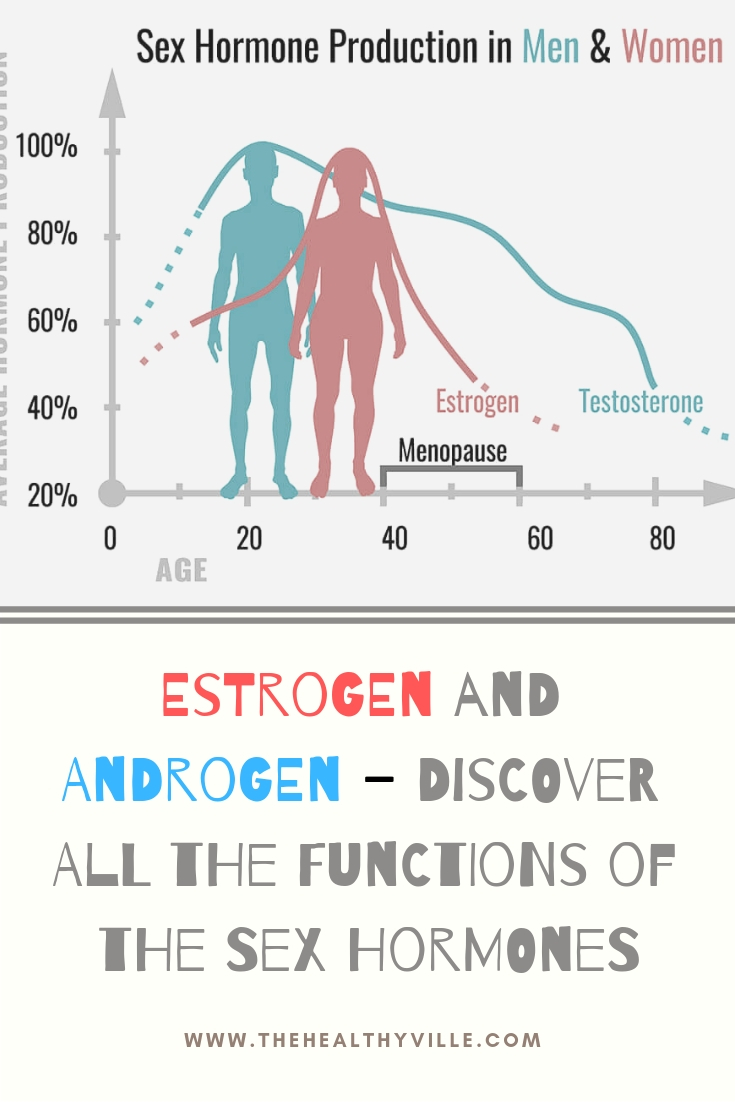 Estrogen And Androgen – Discover All The Functions Of The Sex Hormones