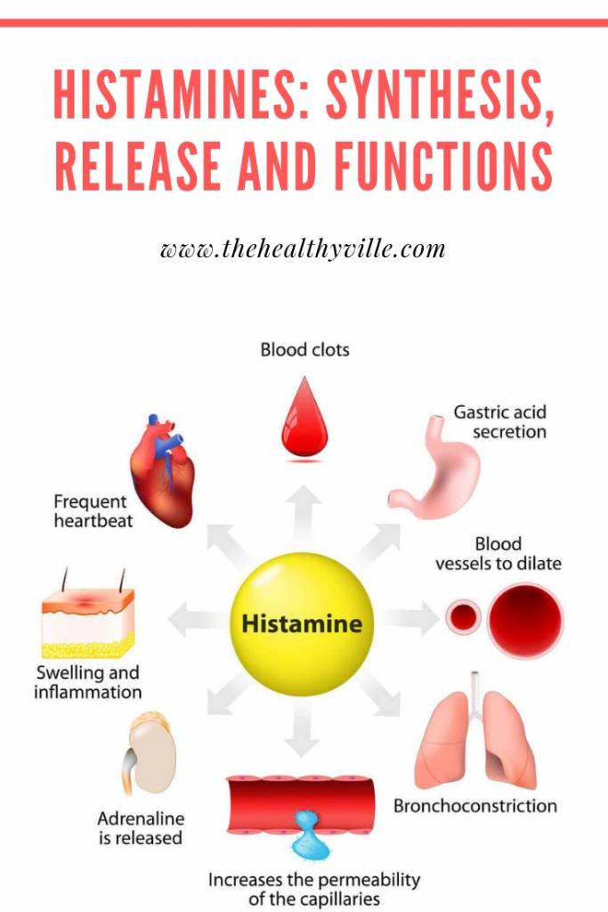 Histamines Synthesis, Release and Functions