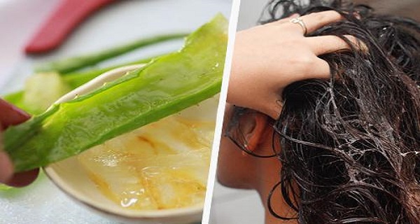 Use one of these 5 best DIY hair mask options instead of using dangerous chemicals, and you will instantly notice how your hair improves.
