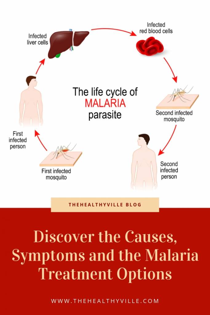 Discover the Causes, Symptoms and the Malaria Treatment Options