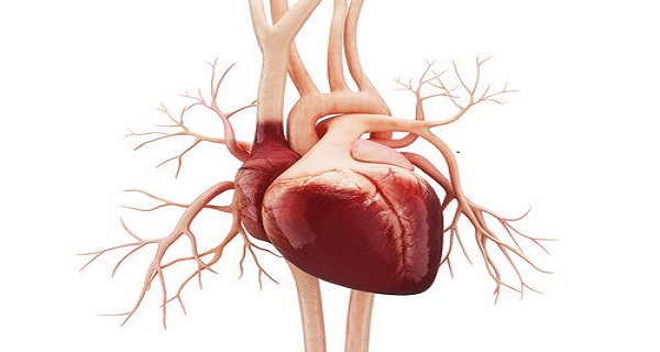 What causes atrial flutter
