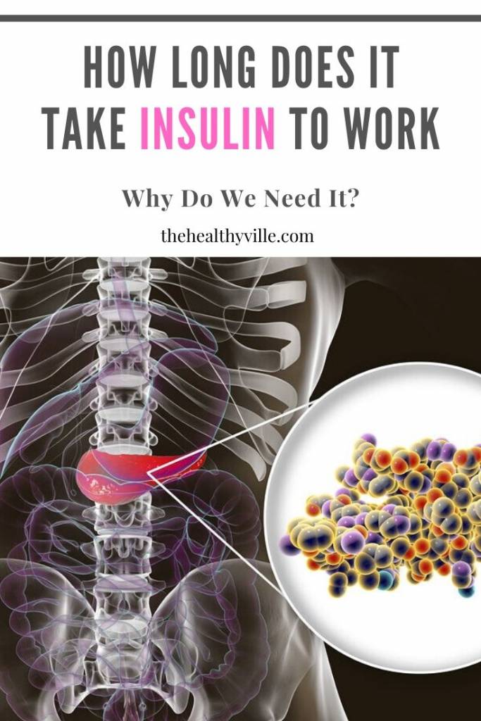 How Long Does It Take Insulin to Work and Why Do We Need It_