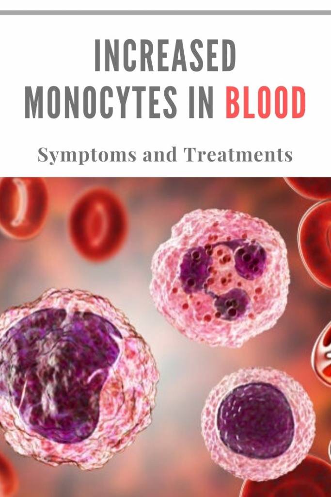 Increased Monocytes in Blood_ Symptoms and Treatments