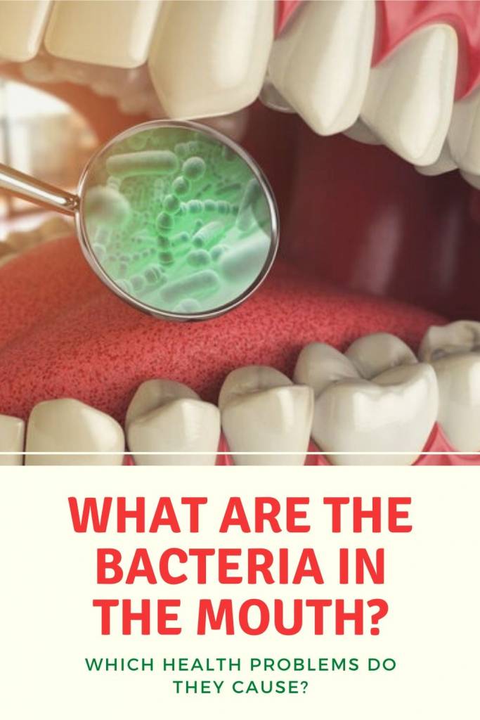 What Are the Bacteria in the Mouth_ Which Health Problems Do They Cause_
