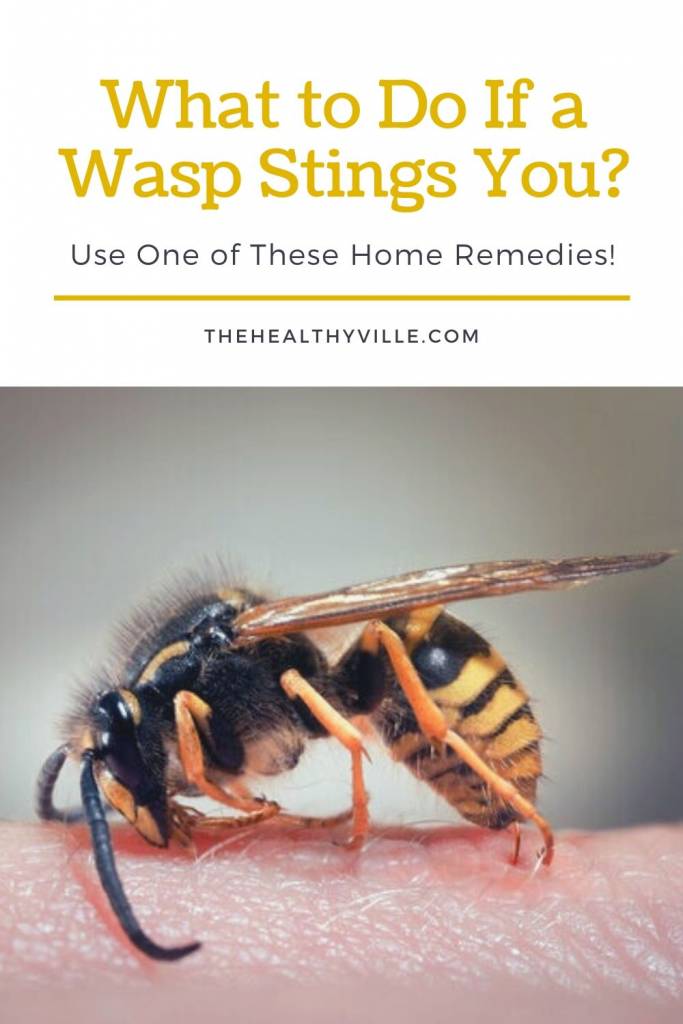 What to Do If a Wasp Stings You_ – Use One of These Home Remedies!