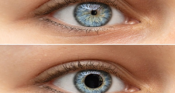 miotic pupil size