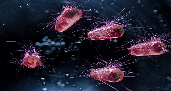 How Fast Does E Coli Manifest Symptoms and How to Recognize Them?