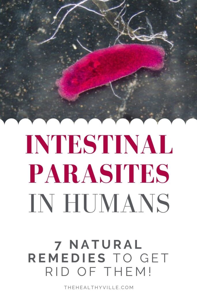 Intestinal Parasites in Humans – 7 Natural Remedies to Get Rid of Them!