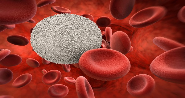 what does it mean to have a low blood cell count