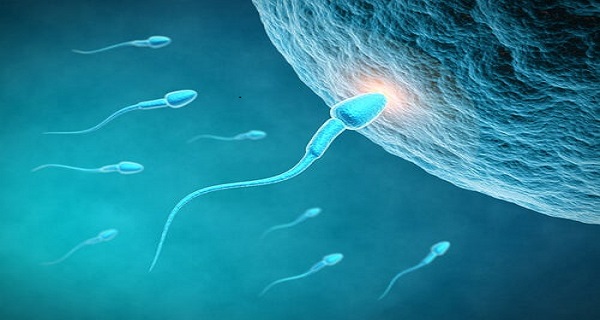 how to improve sperm count