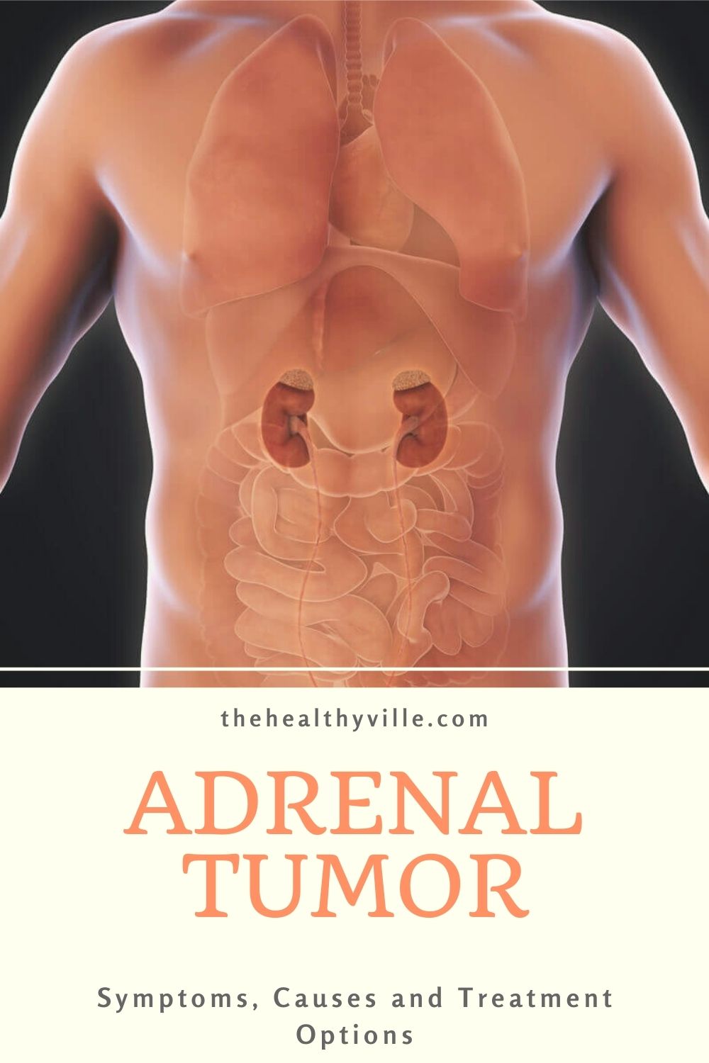 overactive adrenals symptoms