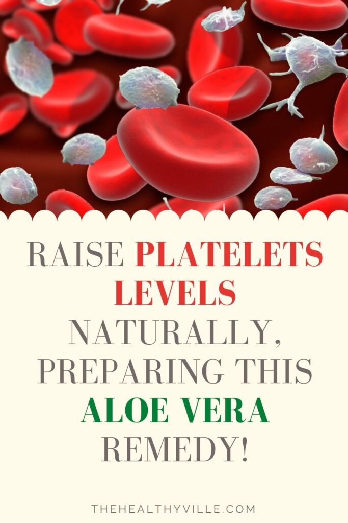 Raise Platelets Levels Naturally, Preparing This Aloe Vera Remedy!