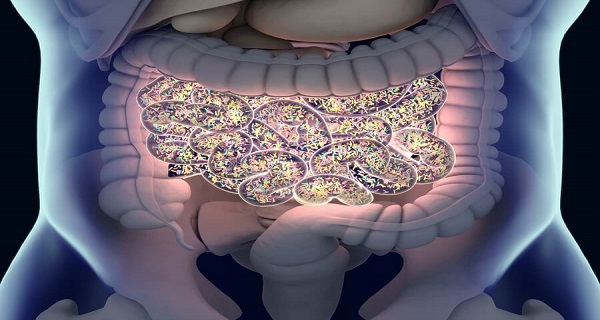 how to improve gut microbiome