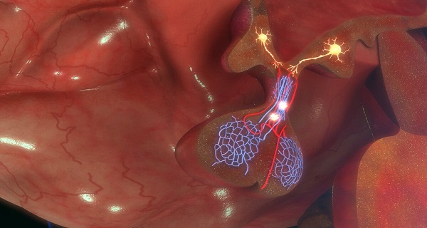 hypopituitarism symptoms