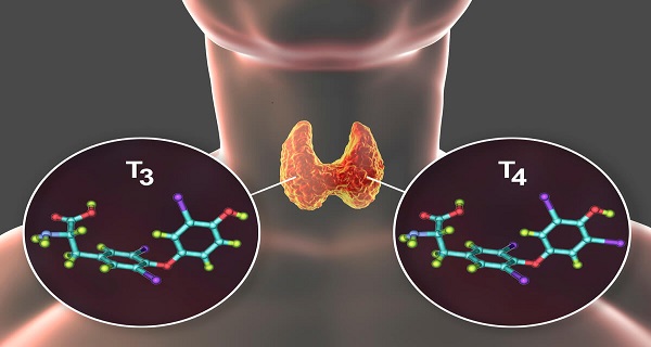 what is thyroxine