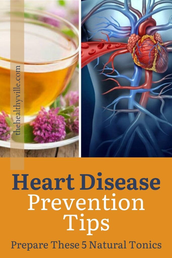 Heart Disease Prevention Tips – Prepare These 5 Natural Tonics