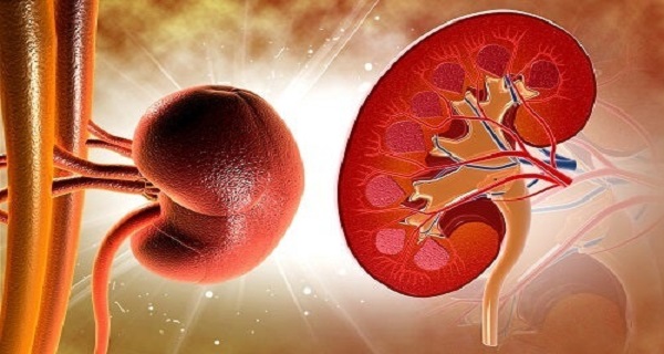 what causes kidney problems